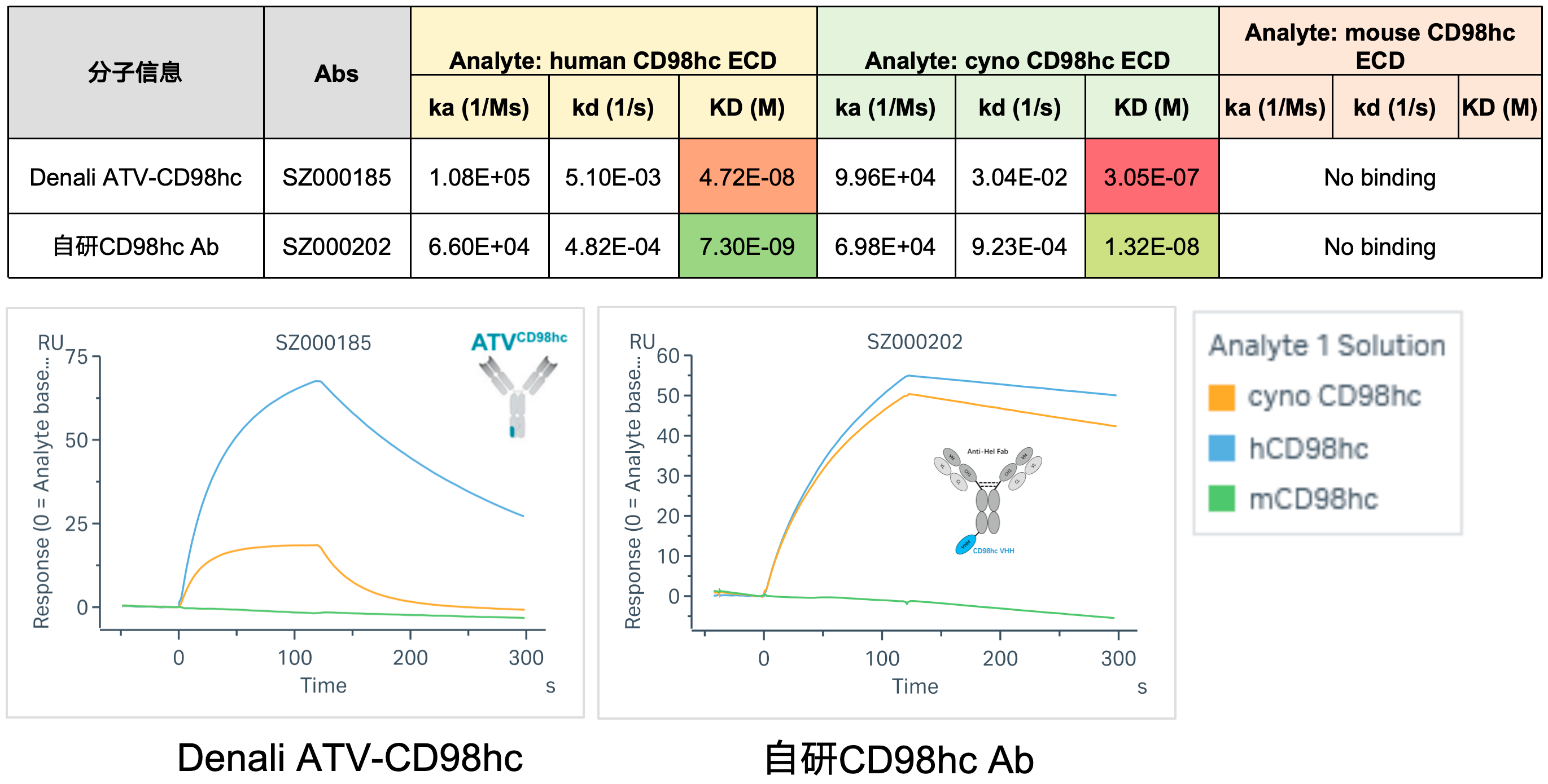 1779553852366796 cd98hc-cross-species.png