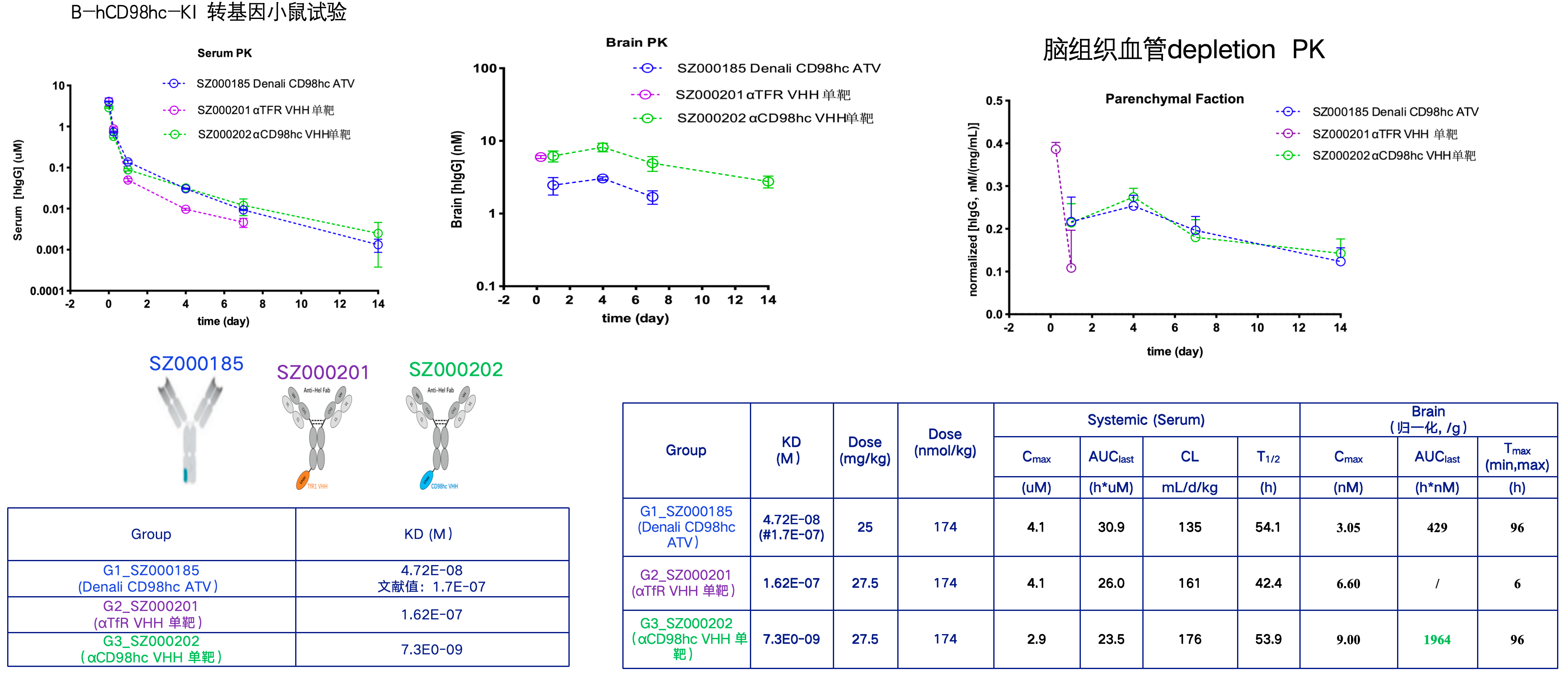 1779553931601890 transneuro-cd98hc-invivo-pk.png
